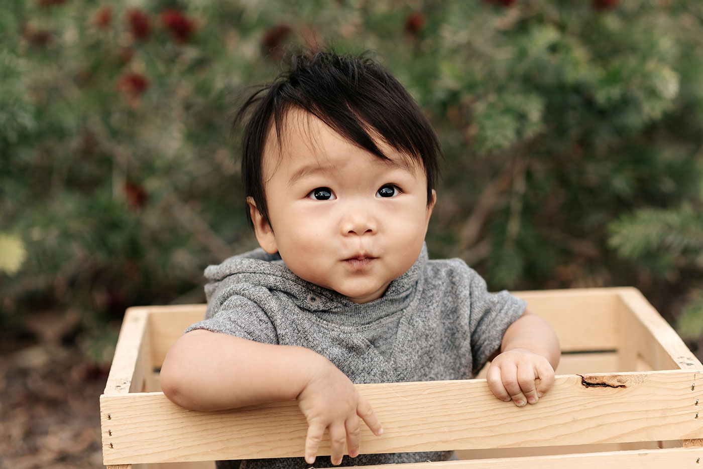 Brand Model and Talent | The Zhang Family Families