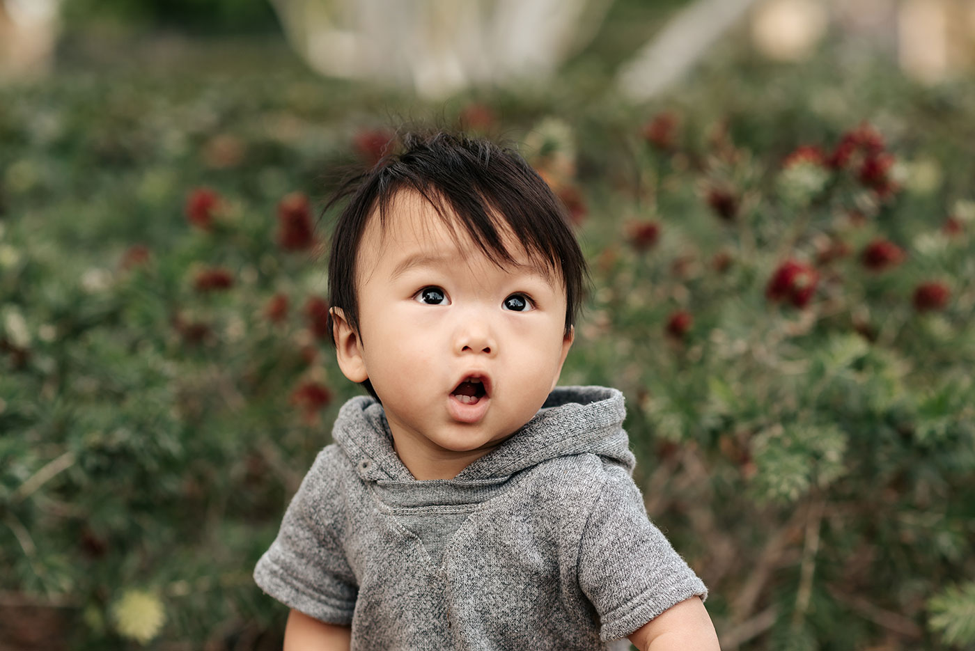 Brand Model and Talent | The Zhang Family Families